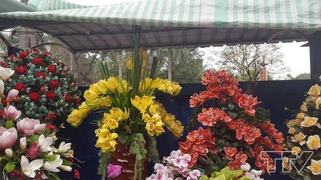 Các chậu hoa lan giả làm bằng cao su có giá từ 3 triệu đến hơn chục triệu đồng.