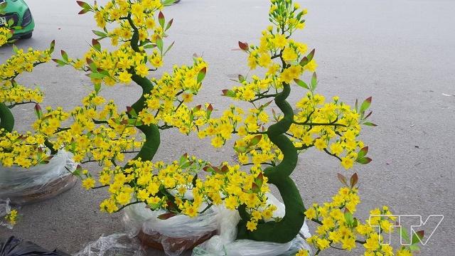 ​Các loại hoa đặc trưng của Tết như mai, đào được khách lựa chọn khá nhiều do hình thức rất giống hoa thật. Giá bán từ 500 nghìn đến cả chục triệu.