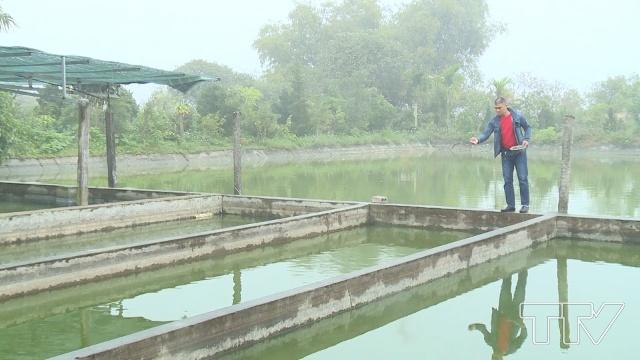 anh Lê Minh Kiên đang tập trung chăm sóc cho ao cá rộng gần 5 mẫu của gia đình mình để kịp xuất bán ra thị trường
