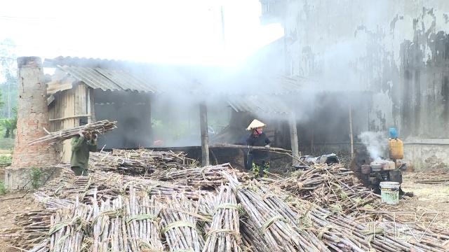 Nghề chế biến mật mía tại xã Thạch Sơn, huyện Thạch Thành 