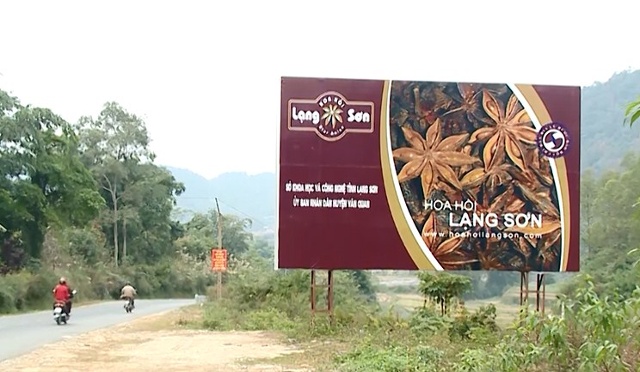 Hoa Hồi, Lạng Sơn là một trong nhũng sản phẩm được bảo hộ chỉ dẫn địa lý quốc gia