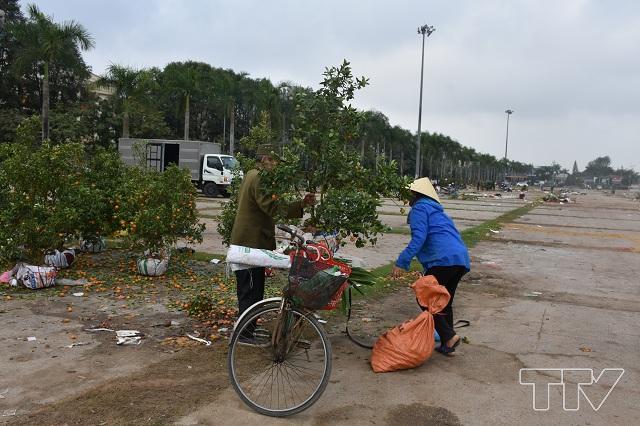 một người buôn bán đồng nát tranh thủ lựa được một cây quất về trồng trong đống quất bị bỏ lại trên Quảng trường Lam Sơn