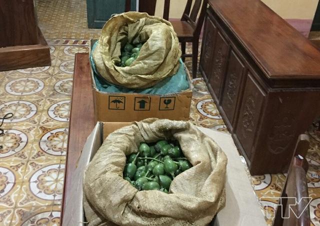 Tang vật 16kg quả thuốc phiện được đối tượng Lê Văn Sơn cất giấu.