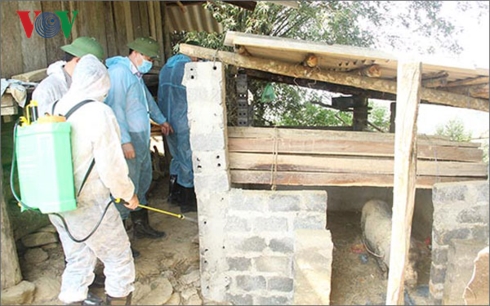 Tổ chức phun tiêu độc khử trùng tại khu vực chăn nuôi bản Huổi Ái