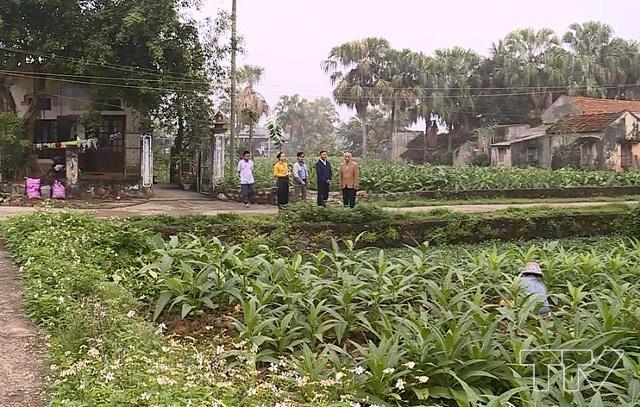 Quảng Trung đã vươn lên như một vùng kinh tế tương đối năng động của khu vực phía nam huyện Quảng Xương.