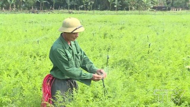 Ông Nguyễn Huy Cương hiện là 1 trong những công nhân phụ trách hệ thống nước tưới tự động cho vùng trồng cà rốt