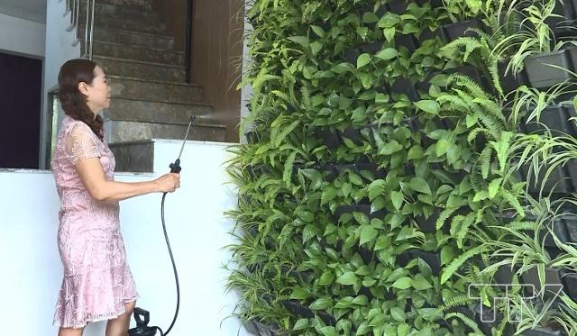 Là người yêu thiên nhiên, bà Phạm Thị Thủy đã quyết định trồng một vườn cây xanh trong ngôi nhà của mình. Do không gian nhà phố hẹp nên bà đã sử dụng giải pháp trồng cây trên vườn thẳng đứng, không tốn nhiều diện tích mà có thể tạo nên một khoảng không gian xanh, tươi mát.