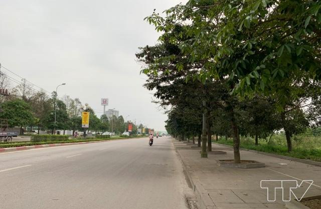 Trời không có nắng nhưng nhìn xa như có bóng cây