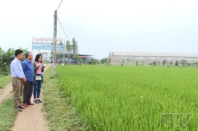 350 hộ dân trong thôn đã ký kết hợp đồng với hợp tác xã cơ giới hóa nông nghiệp Đông Tiến tập trung 60 ha để chuyển đổi thành cánh đồng sinh thái chuyên sản xuất lúa giống, lúa thương phẩm hữu cơ. Mô hình này, sẽ được triển khai bắt đầu từ vụ mùa năm 2019.