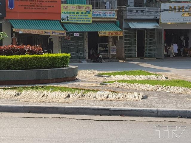 Lạt làm bánh khô cong dưới cái nắng như đổ lửa.