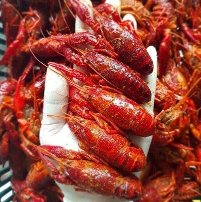 Mặc lệnh cấm, nhiều nơi vẫn rao bán tôm này với giá gần nửa triệu đồng/kg
