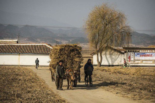 Người dân sống ở vùng nông thôn Triều Tiên (Ảnh: AFP)