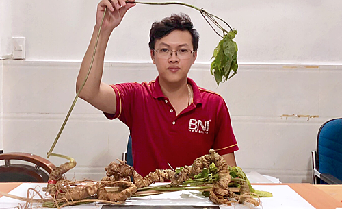 Một trong hai củ sâm có tuổi đời 100 năm.