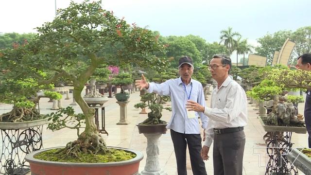 Ông Mai Văn Chước, Xã Hoàng Đại, huyện Hoằng Hóa, tỉnh Thanh Hóa cho biết: Tôi thấy trưng bày sinh vật cảnh của tỉnh rất quy mô, hoành tráng và nhiều cây đẹp trong đó có cả dáng thế và cây chậu.