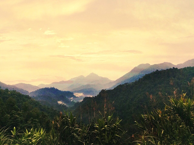 Cảnh rừng n&uacute;i từ tr&ecirc;n bản Vịn nh&igrave;n xuống.