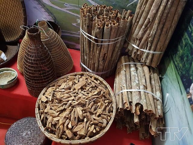 Quế Ngọc tại Thường Xuân có từ lâu đời và được lịch sử biết đến là sản phẩm quý hiếm của thiên nhiên và đặc thù của vùng tạo nên.