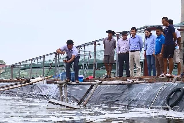 Huyện Hoằng Hóa có gần 1600 ha nước lợ có thể nuôi tôm. 