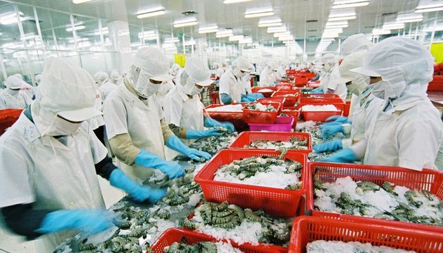 Xuất khẩu thuỷ sản của Việt Nam đạt khoảng 9 tỷ USD.