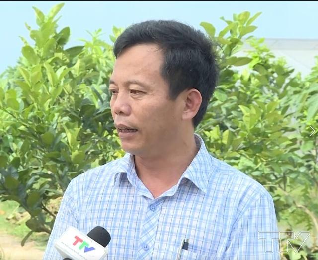 &Ocirc;ng H&agrave; Kim Sơn- Chủ tịch Hội N&ocirc;ng d&acirc;n x&atilde; Đ&ocirc;ng Tiến, huyện Đ&ocirc;ng Sơn:  "Ch&uacute;ng t&ocirc;i đang vận động, khuyến kh&iacute;ch th&agrave;nh lập niều chi, tổ hội nghề nghiệp hơn, học tập m&ocirc; h&igrave;nh chi hội đang l&agrave;m để nh&acirc;n rộng ra&hellip;s44 thu nhập hội vi&ecirc;n trong tổ hội từ 4,5- 5 triệu đồng/ người/th&aacute;ng "