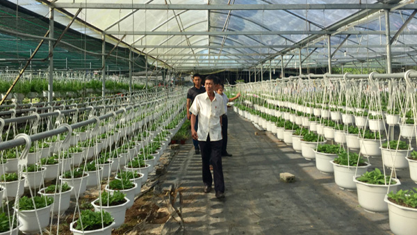  nhieu chinh sach ho tro hop tac xa phat trien tai da nang hinh 1 Th&agrave;nh phố Đ&agrave; Nẵng ban h&agrave;nh nhiều ch&iacute;nh s&aacute;ch c&oacute; t&iacute;nh đột ph&aacute; để hỗ trợ hợp t&aacute;c x&atilde; ph&aacute;t triển.
