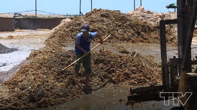 Ô nhiễm môi trường trong sản xuất giấy và bột giấy