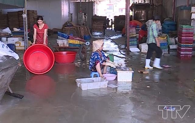 Tại xã Hải Bình, huyện Tĩnh Gia hiện có khoảng hơn 100 cơ sở chế biến hải sản. Vào mùa, mỗi ngày, ở đây chế biến hàng chục tấn cá, và lượng lượng rác thải, nước thải ra môi trường là rất lớn. Do hầu hết các cơ sở chế biến đều nằm trong khu dân cư hoặc ven đê sông Bạng, diện tích chật hẹp, cơ sở hạ tầng hết sức tạm bợ, nên việc xử lý môi trường rất khó khăn.