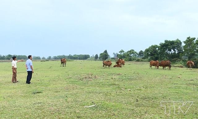 quỹ đất sản xuất nông nghiệp của xã Quảng Phú liên tục bị thu hẹp. 