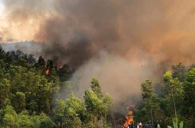 Nắng nóng nguy cơ cháy rừng ở nhiều nơi.