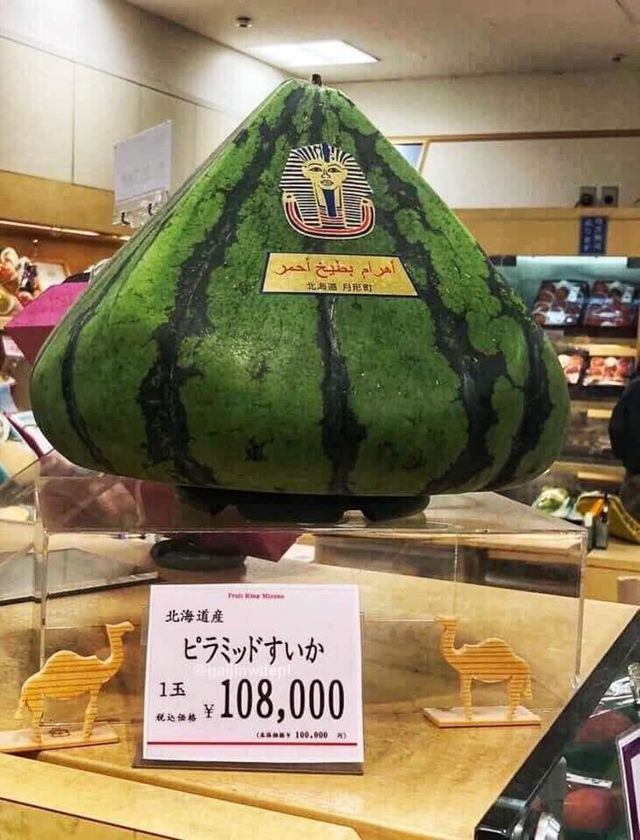 Quả dưa hấu được bày đẹp mắt trong siêu thị tại Nhật Bản. Ảnh: FBNV.