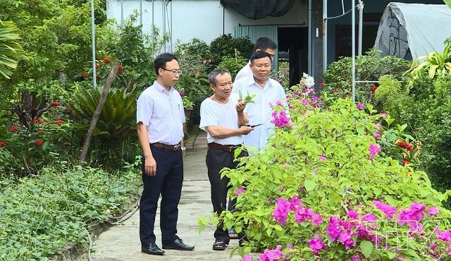 Vườn trồng cây cảnh của gia đình ông Phạm Hữu Sơn, thôn Thọ Sơn, xã Trường Sơn, huyện Nông Cống 