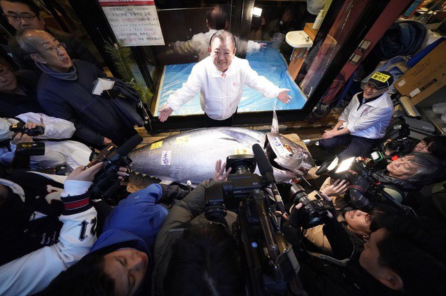 Một con cá ngừ vây xanh lớn đáng kinh ngạc, nặng tới 276 kg (608 pound) đã được bán với giá 193,2 triệu yên (hơn 41 tỷ đồng) tại một chợ cá ở Tokyo, mức giá cao thứ hai từng được ghi nhận cho một con cá ngừ.