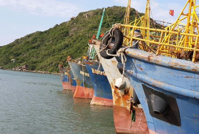 Bình Định hiện có 38 tàu cá đóng mới theo Nghị định 67/2014/NĐ-CP hết hạn bảo hiểm phải nằm bờ- Ảnh: Báo Tiền phong