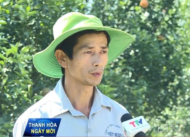 Anh Hoàng Thanh Hóa- Thôn Ninh Tiến, xã Thạch Lập, huyện Ngọc Lặc:  &quot;Trồng xoan, luồng các thứ nhưng không hiệu quả, ban đầu vất vả vì đường xá khó khăn, nhưng sau 3-4 năm trồng bắt đầu cho thu hoạch &quot;.