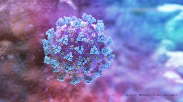 Các nhà khoa học tại Trung Quốc hôm 19/2 vừa công bố nghiên cứu mới cho biết cơ chế lây lan của dịch Covid-19 giống như các loại cúm thông thường. Ảnh minh họa: Reuters