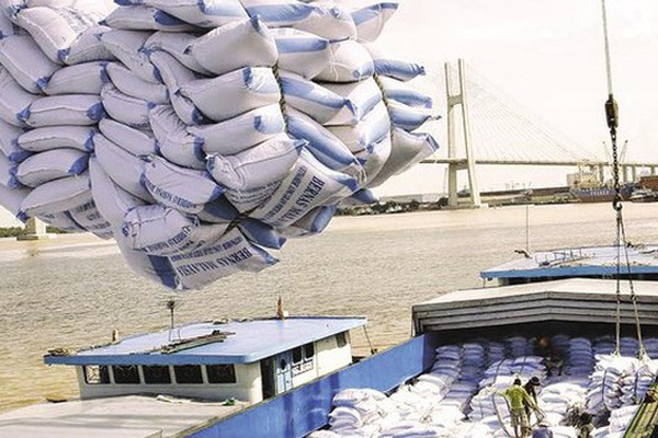 Bộ Công Thương kiến nghị tiếp tục xuất khẩu gạo - Ảnh: Ngọc Trinh