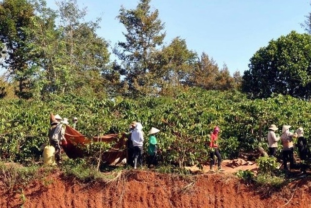Cùng với đầu tư hạ tầng, dự án sẽ hỗ trợ các nông hộ quy mô nhỏ - Ảnh: VGP/ Đỗ Hương