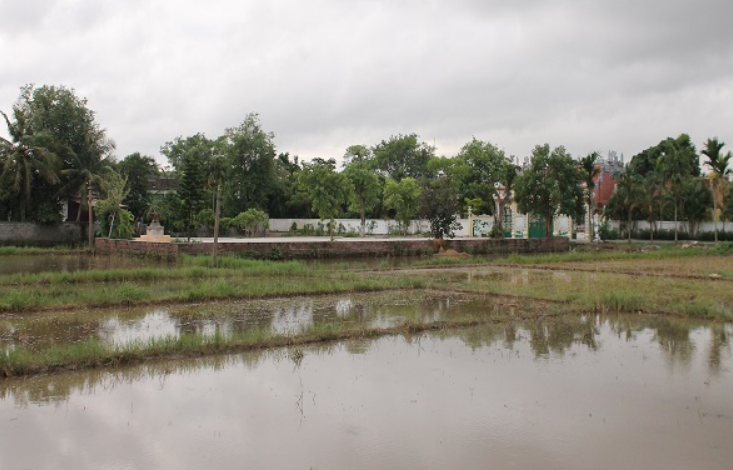 Diện tích được quận Dương Kinh quy hoạch giao cho các hộ dân đủ điều kiện được giao đất làm nhà ở