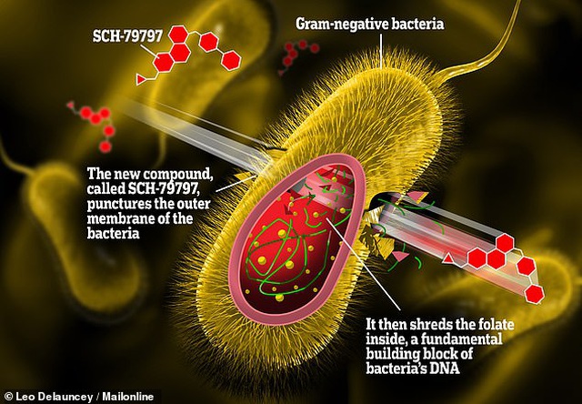 Hợp chất SCH-79797 được ví như “mũi tên độc” khoan thủng lớp vỏ bên ngoài của vi khuẩn, từ đó phá vỡ ADN của nó.