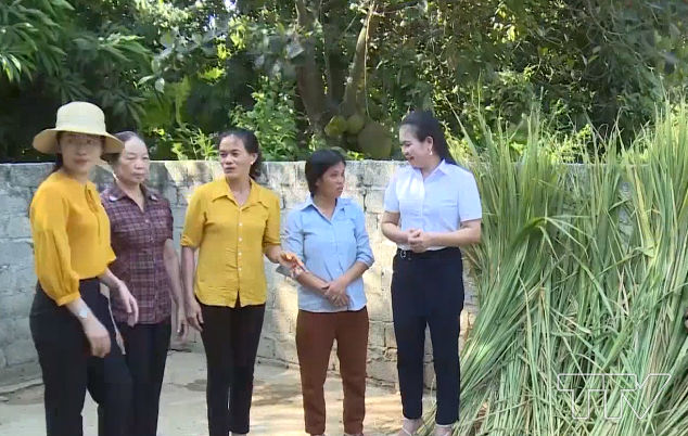 Bà Mai Thị Hải - Chủ tịch hội Liên hiệp phụ nữ phường Ba Đình, thị xã Bỉm Sơn đến từng chi hội, triển khai mô hình thực tế, như: xây dựng đường hoa, bảo vệ môi trường, giúp phụ nữ nghèo phát triển kinh tế. 
