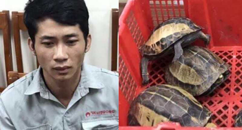 Đối tượng Liệu Văn Thuần và những cá thể rùa quý hiếm. 