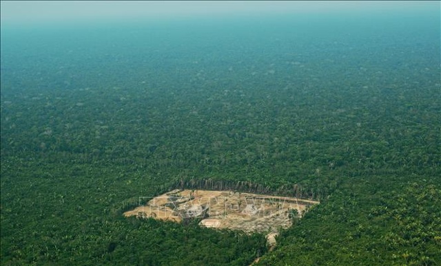 Khoảng rừng bị chặt phá ở khu vực Tây Amazon, Brazil. Ảnh tư liệu: AFP/TTXVN