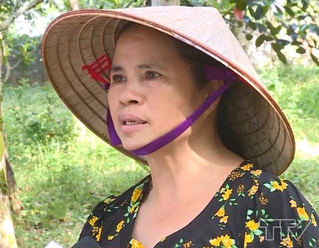 Bà Lê Thị Xuân Thôn Thọ Phú, xã Kiên Thọ, huyện Ngọc Lặc, tỉnh Thanh Hóa: 