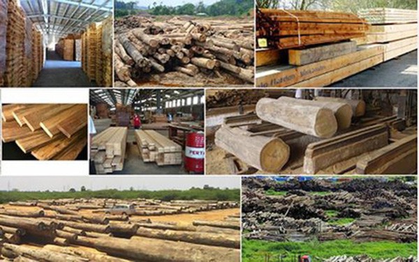 Chế biến gỗ và sản xuất sản phẩm từ gỗ ảnh hưởng mạnh bởi Covid-19.