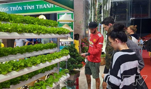 Du khách nước ngoài tham quan mô hình trồng rau sạch.