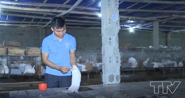 Mô hình nuôi thỏ New Zealand của gia đình anh Hà Minh Tuấn Anh 