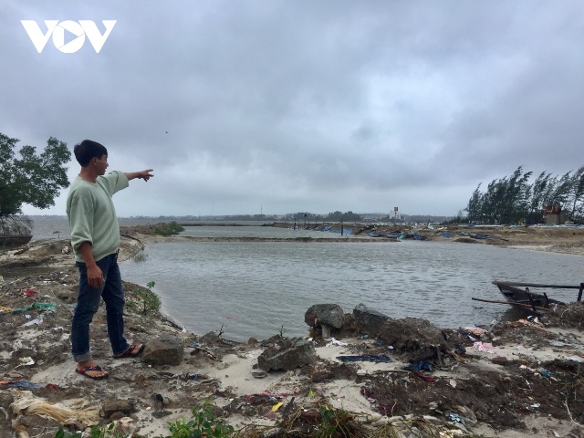 Sau bão số 9, rất nhiều hộ nuôi tôm ở tỉnh Quảng Nam trắng tay.