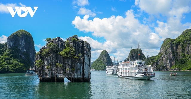 Chỉ có 1,5 triệu lượt khách tham quan Vịnh Hạ Long năm 2020.