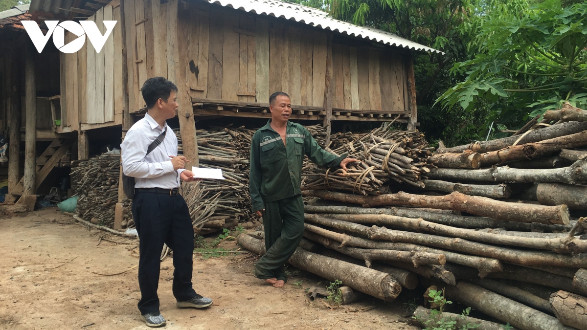 Tác giả Xuân Thọ trao đổi với người dân bên đống cây cao su bị chặt để làm củi.