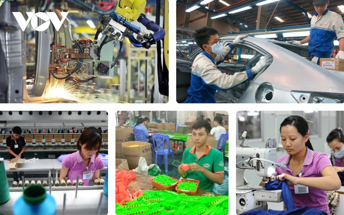 Kinh tế là gì Các loại mô hình kinh tế ở Việt Nam