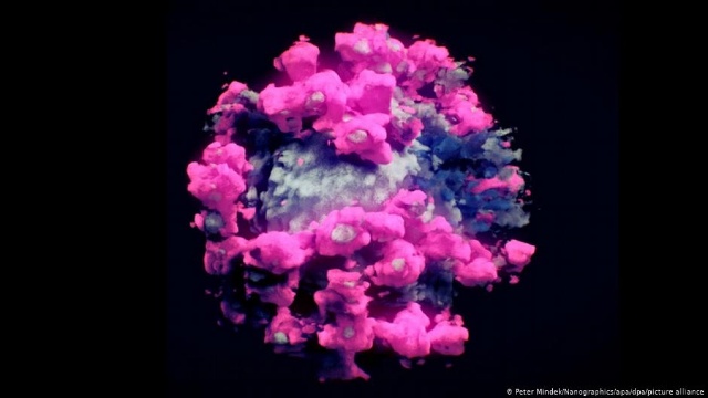 Ảnh 3D của virus SARS-CoV-2. Ảnh: DW.